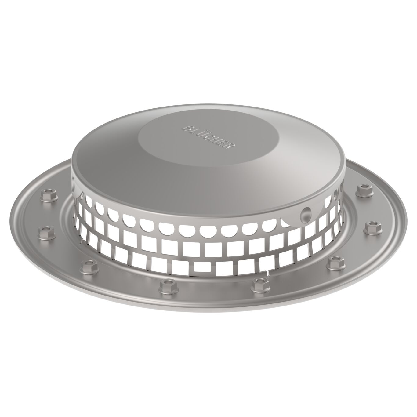 Product image of a leaf guard from the series Guard.